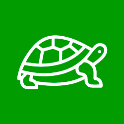 Reptiles